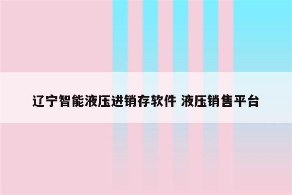 辽宁智能液压进销存软件 液压销售平台