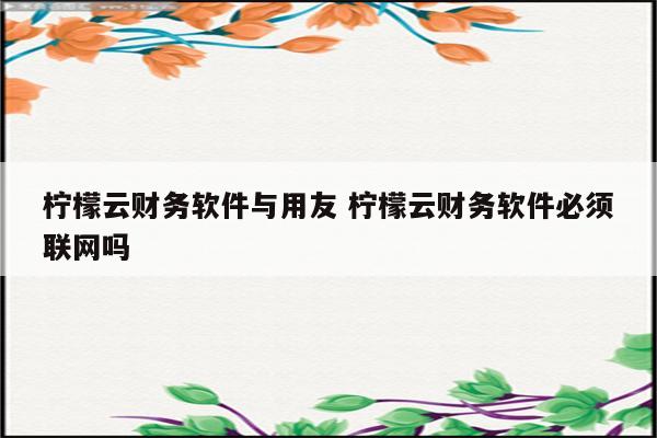 柠檬云财务软件与用友 柠檬云财务软件必须联网吗