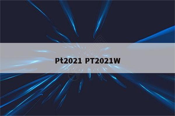 Pt2021 PT2021W