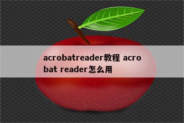 acrobatreader教程 acrobat reader怎么用