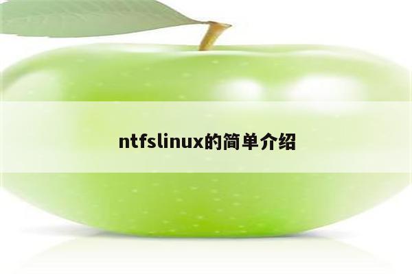 ntfslinux的简单介绍