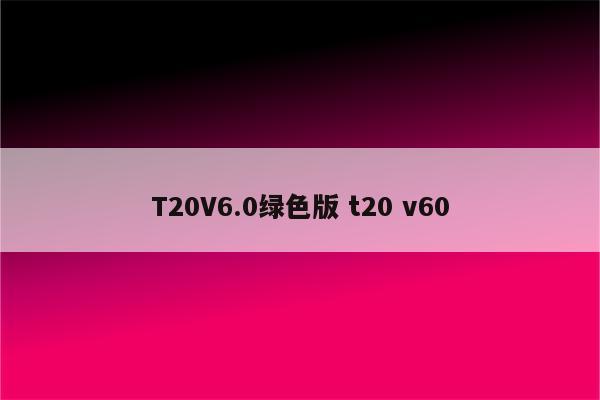 T20V6.0绿色版 t20 v60