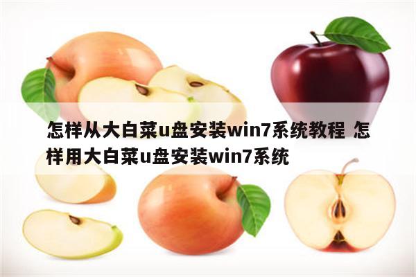 怎样从大白菜u盘安装win7系统教程 怎样用大白菜u盘安装win7系统