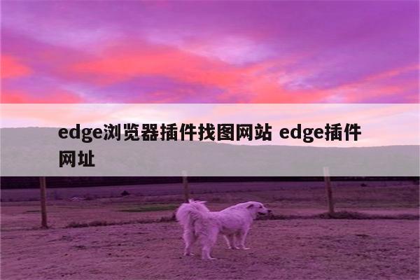 edge浏览器插件找图网站 edge插件网址