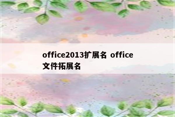 office2013扩展名 office文件拓展名