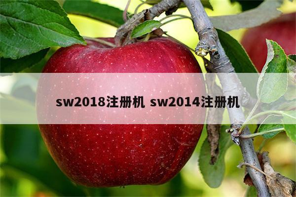 sw2018注册机 sw2014注册机