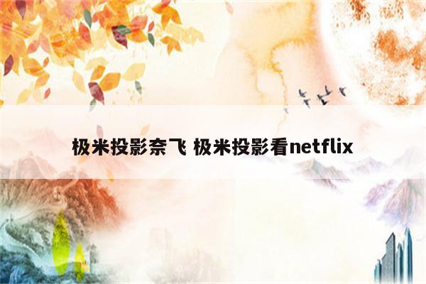 极米投影奈飞 极米投影看netflix