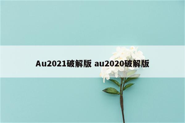 Au2021破解版 au2020破解版