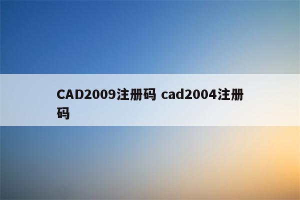 CAD2009注册码 cad2004注册码