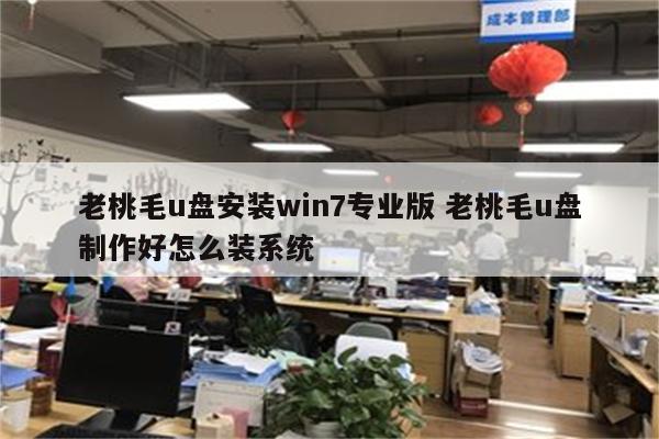 老桃毛u盘安装win7专业版 老桃毛u盘制作好怎么装系统