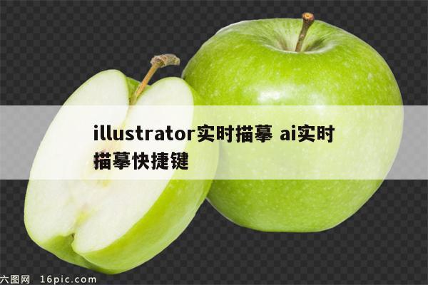 illustrator实时描摹 ai实时描摹快捷键