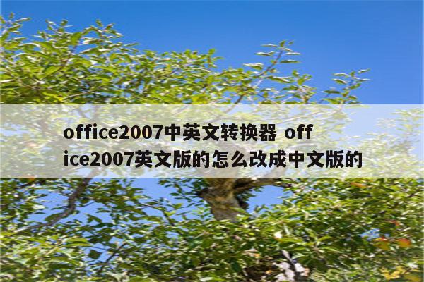 office2007中英文转换器 office2007英文版的怎么改成中文版的