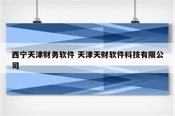 西宁天津财务软件 天津天财软件科技有限公司