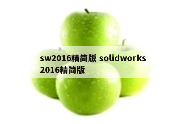 sw2016精简版 solidworks2016精简版