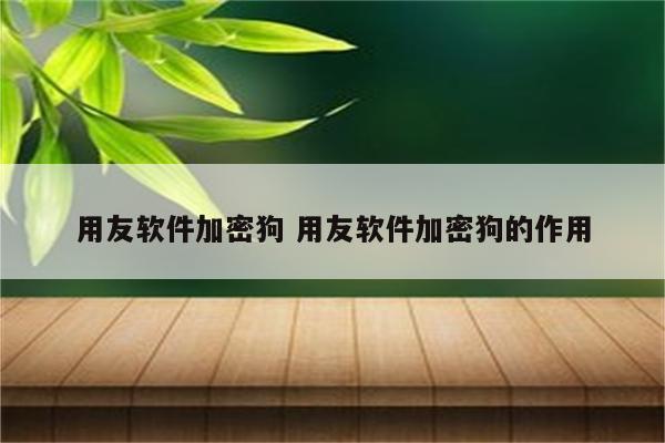 用友软件加密狗 用友软件加密狗的作用