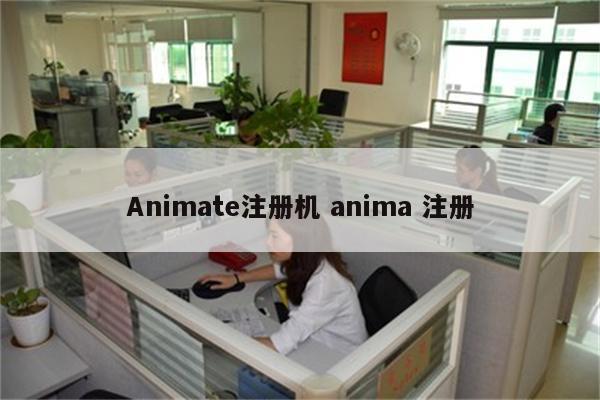 Animate注册机 anima 注册