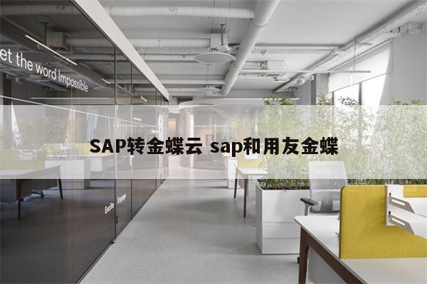 SAP转金蝶云 sap和用友金蝶