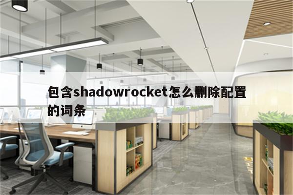 包含shadowrocket怎么删除配置的词条