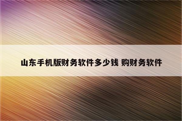 山东手机版财务软件多少钱 购财务软件