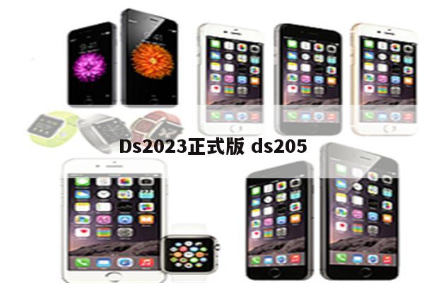 Ds2023正式版 ds205