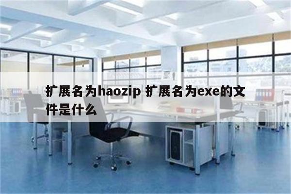 扩展名为haozip 扩展名为exe的文件是什么