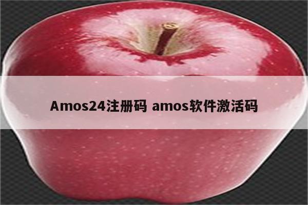 Amos24注册码 amos软件激活码