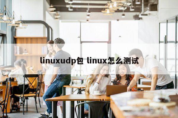 linuxudp包 linux怎么测试