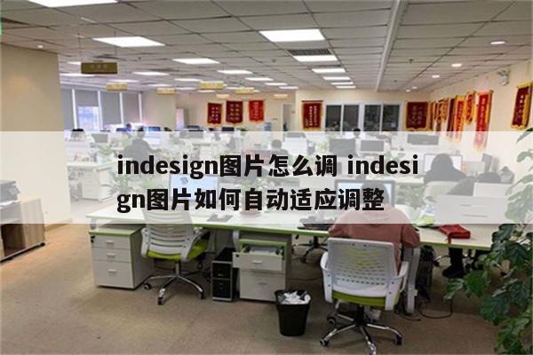 indesign图片怎么调 indesign图片如何自动适应调整