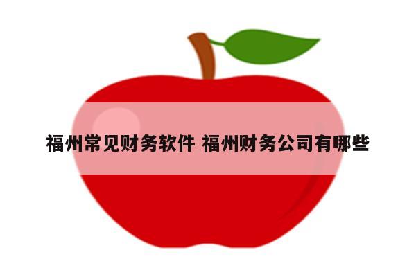 福州常见财务软件 福州财务公司有哪些