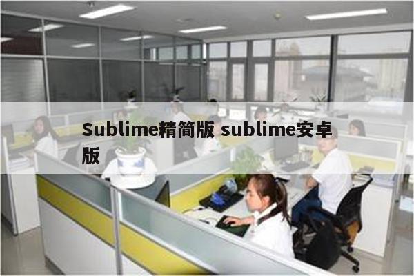 Sublime精简版 sublime安卓版