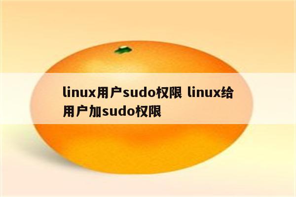 linux用户sudo权限 linux给用户加sudo权限