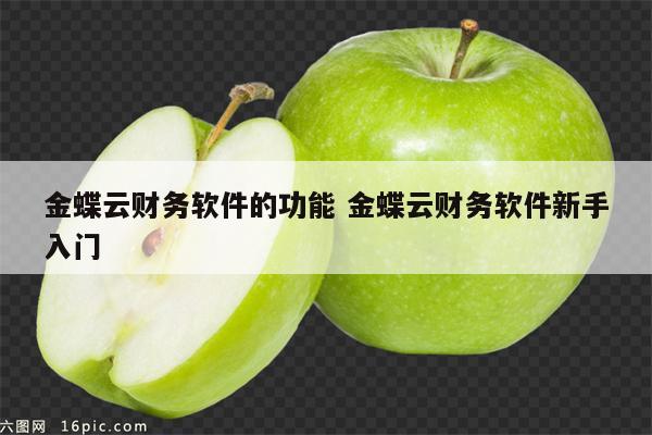 金蝶云财务软件的功能 金蝶云财务软件新手入门