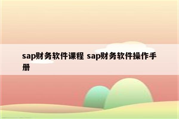 sap财务软件课程 sap财务软件操作手册