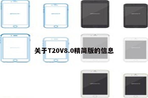 关于T20V8.0精简版的信息