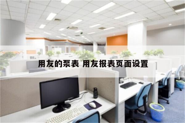 用友的泵表 用友报表页面设置