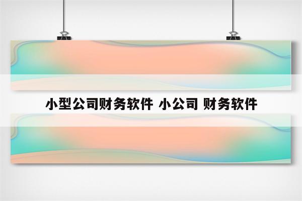 小型公司财务软件 小公司 财务软件