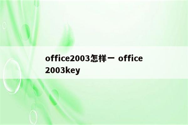 office2003怎样一 office2003key