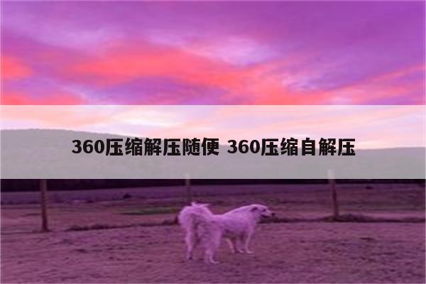 360压缩解压随便 360压缩自解压