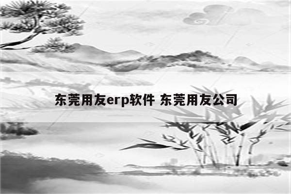 东莞用友erp软件 东莞用友公司