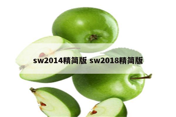 sw2014精简版 sw2018精简版