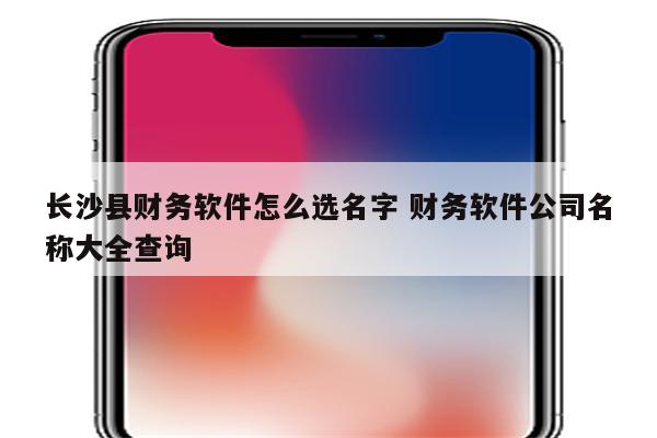 长沙县财务软件怎么选名字 财务软件公司名称大全查询