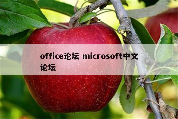 office论坛 microsoft中文论坛