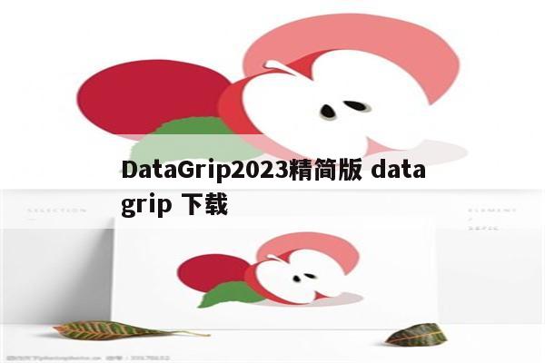 DataGrip2023精简版 datagrip 下载