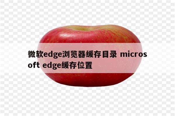 微软edge浏览器缓存目录 microsoft edge缓存位置