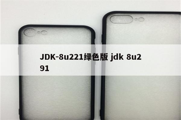 JDK-8u221绿色版 jdk 8u291