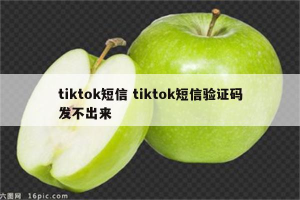 tiktok短信 tiktok短信验证码发不出来