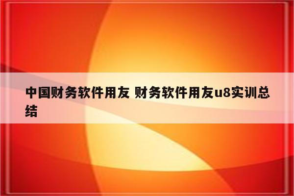 中国财务软件用友 财务软件用友u8实训总结