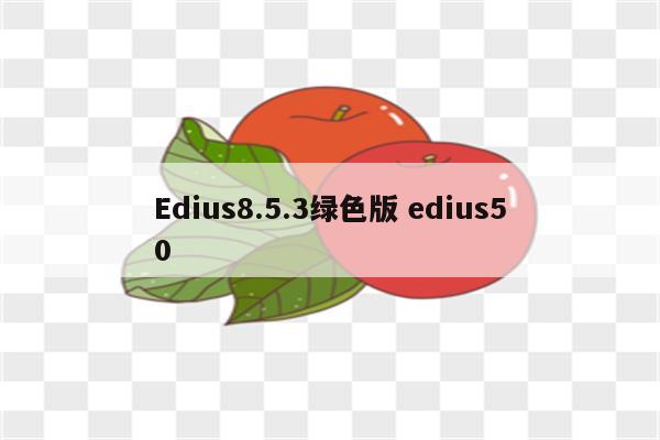 Edius8.5.3绿色版 edius50