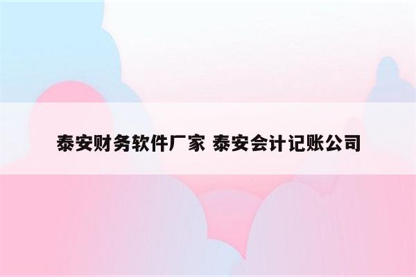 泰安财务软件厂家 泰安会计记账公司