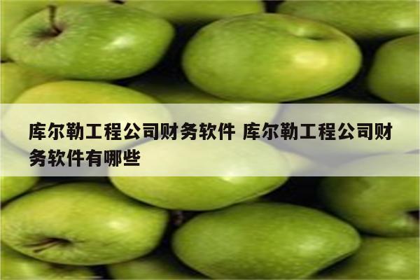 库尔勒工程公司财务软件 库尔勒工程公司财务软件有哪些